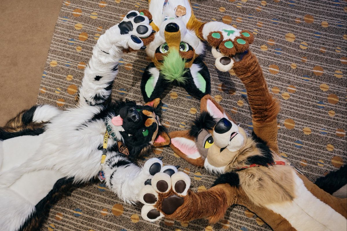 SchecterWolfe's tweet photo. Yea idk. We were tired and just wanted to lay down and be silly 💤

#FursuitFriday 
📸 @RabbetFace https://t.co/E7Aydc917T