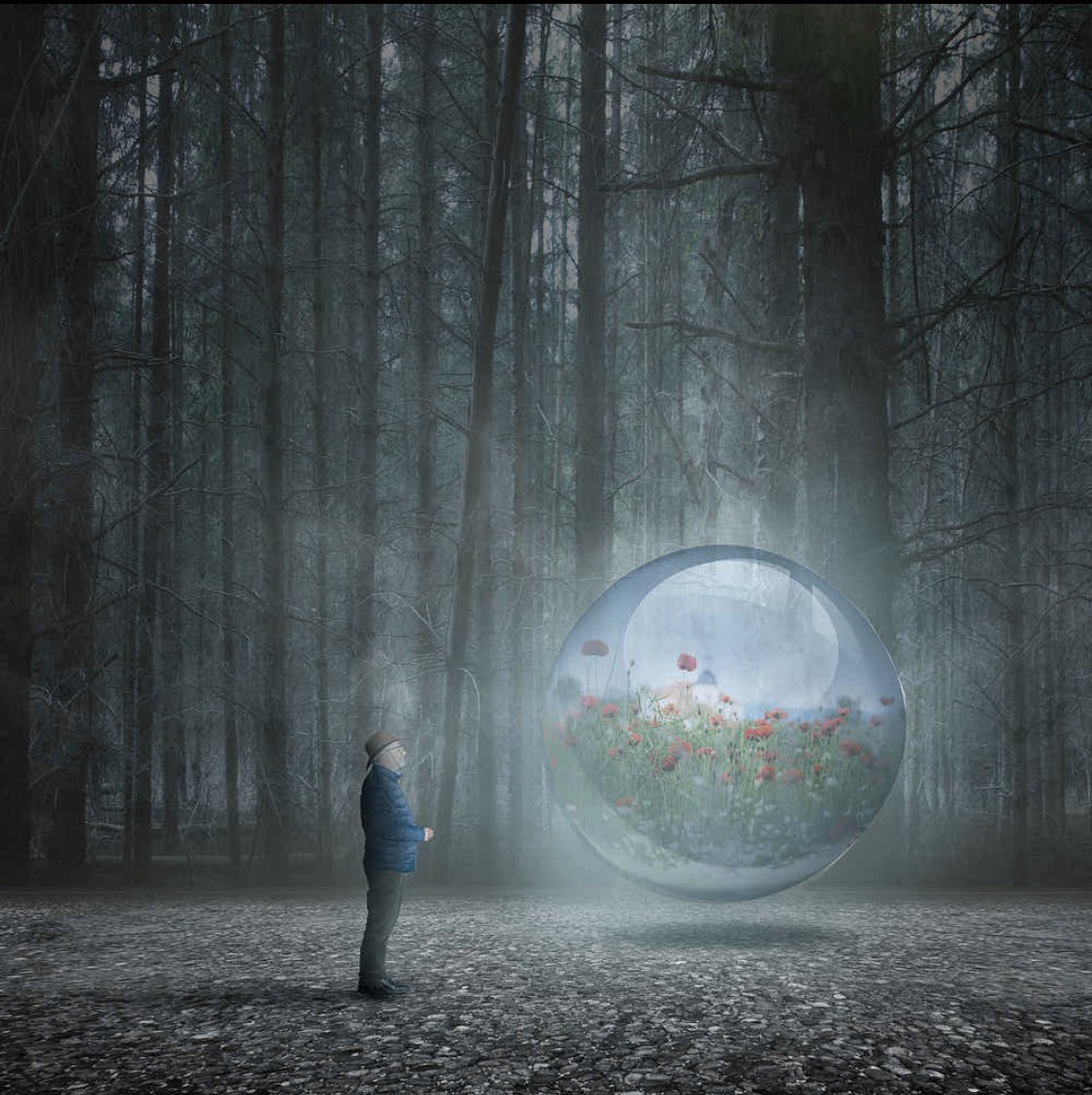 ���� ���� ������ �� ���� ������