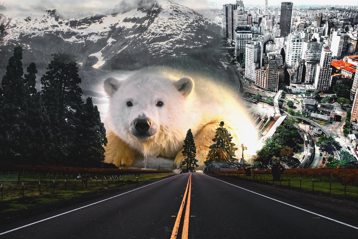 ANEESAHMAD6's tweet photo. BEFORE AND AFTER
POLER BEAR DOUBLE EXPOSURE IN ADOBE PHOTOSHOP CC
See here complete video
https://t.co/6UhozIeCC4
#photoshopskills #graphicdesign #graphicsdesigner #design #vectorartwork #vectorillustration #doubleexposure #vexel #coreldrawx8 #corel https://t.co/1p9eiEhskO