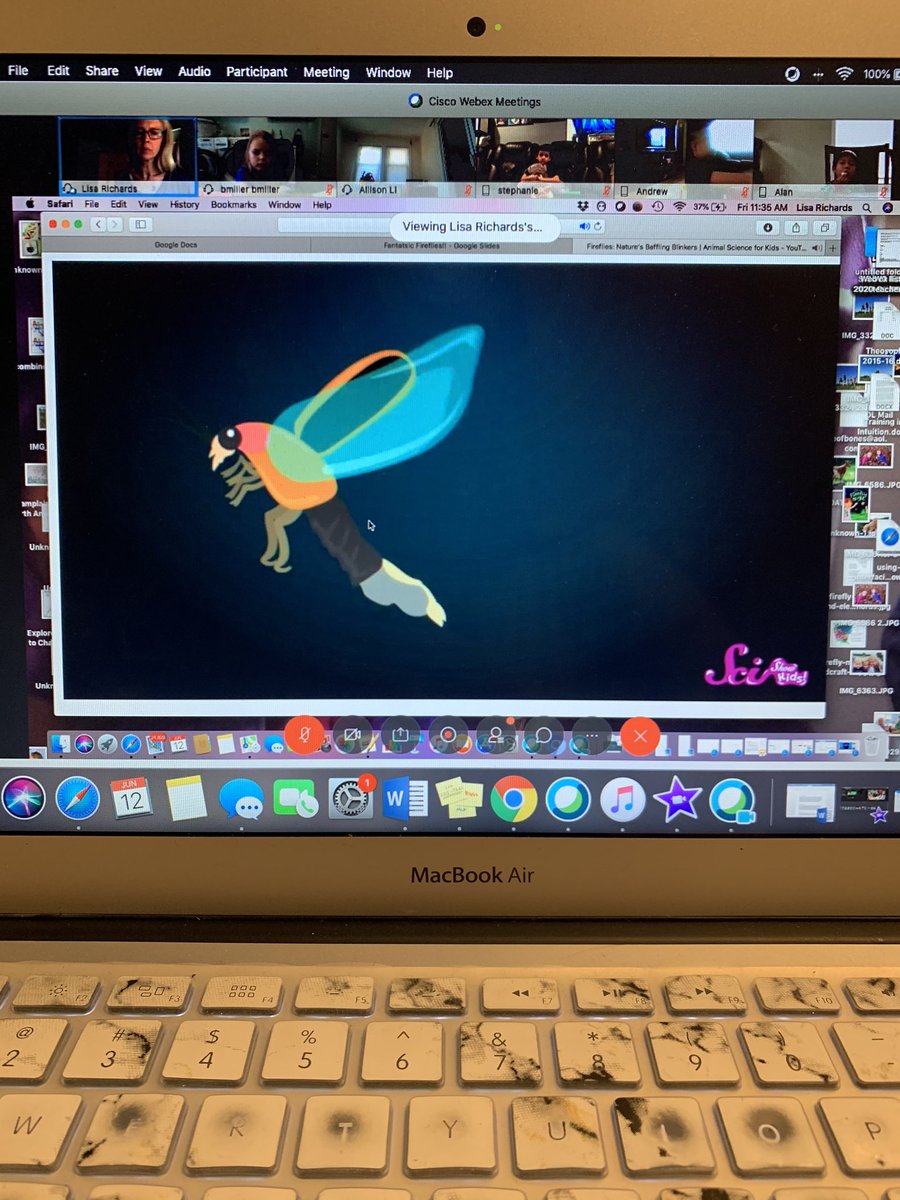 ms_gilmoree's tweet photo. Another wonderful STEAM class with @Leeweerichards we sang our Tree song, and learned about Fireflies! We can’t wait to see them this summer! @Hampton_Street #mineolaproud https://t.co/1GJa8SDavz