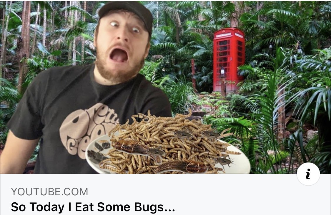 Bck2TheMovies's tweet photo. It’s been a strange day today... 🤢 https://t.co/OHu2BXkSSa #ImACelebrity #BugEating #FoodChallenge #GrossOut https://t.co/8odMfdN2uq