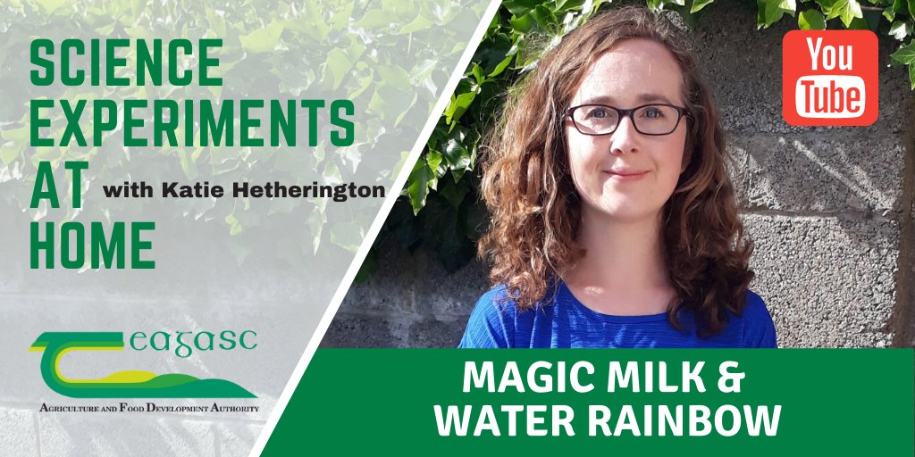 teagasc's tweet photo. As part of the initiative to keep pupils learning in a fun and innovative way, Teagasc has started a YouTube series called “Science Experiments at Home”, watch @KatieHether93 create a Water Rainbow and show how magic Milk is. #STEMeducation https://t.co/tIBYiiEjUH https://t.co/6re0EVsK3E
