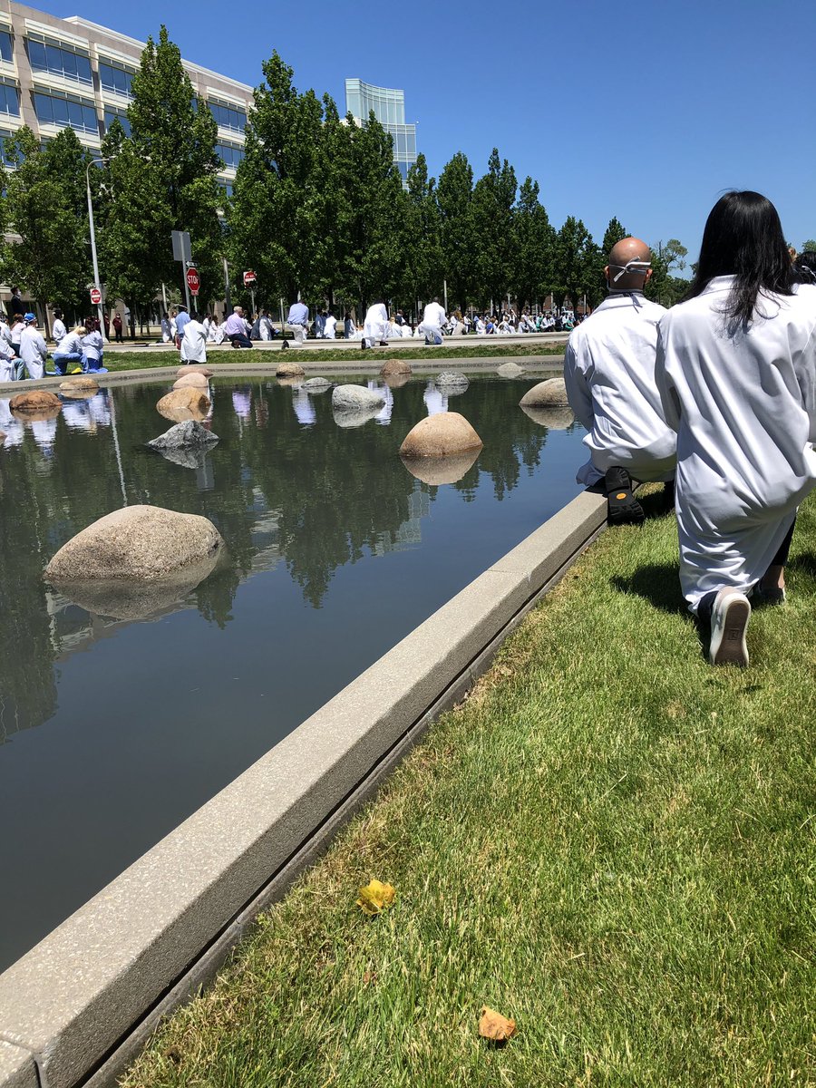 mlsclevelandcl1's tweet photo. Today we joined our #clevelandclinic family to pause for 8 minutes and 46 seconds. #bethemovement #caringforeachother #whitecoatsforblacklives https://t.co/QnuW4VAWKv