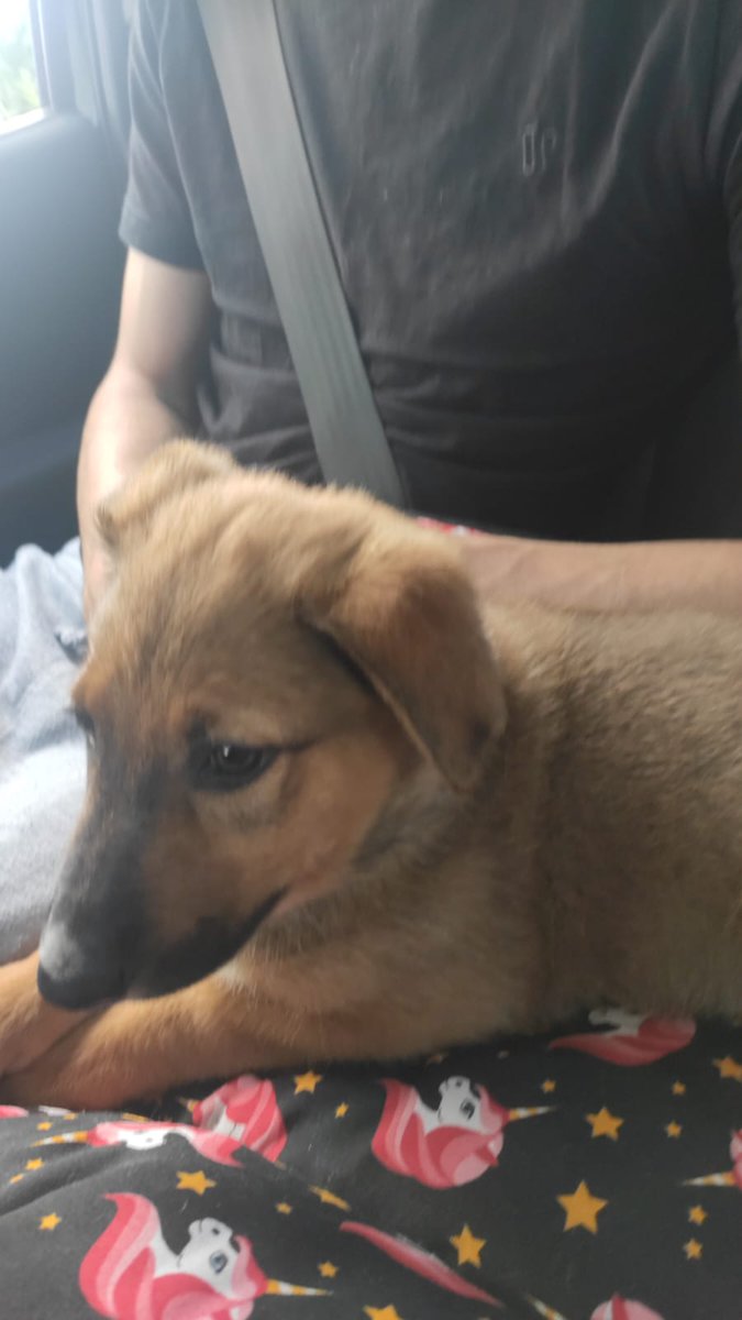 R de Ragnar🔻Ⓐ🔻 tweet media