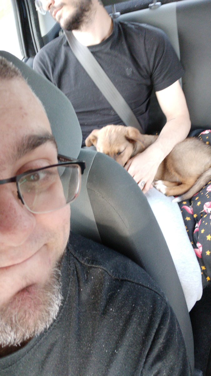 R de Ragnar🔻Ⓐ🔻 tweet media