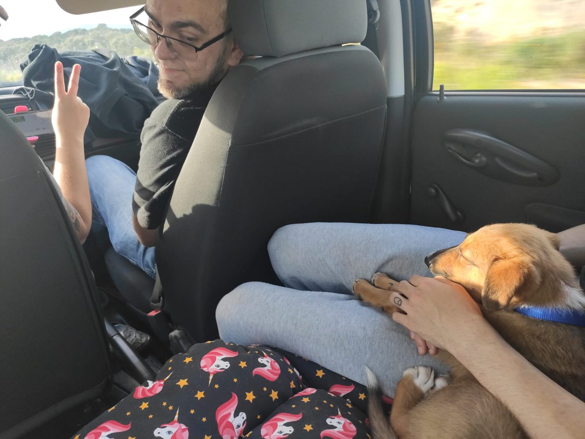 R de Ragnar🔻Ⓐ🔻 tweet media