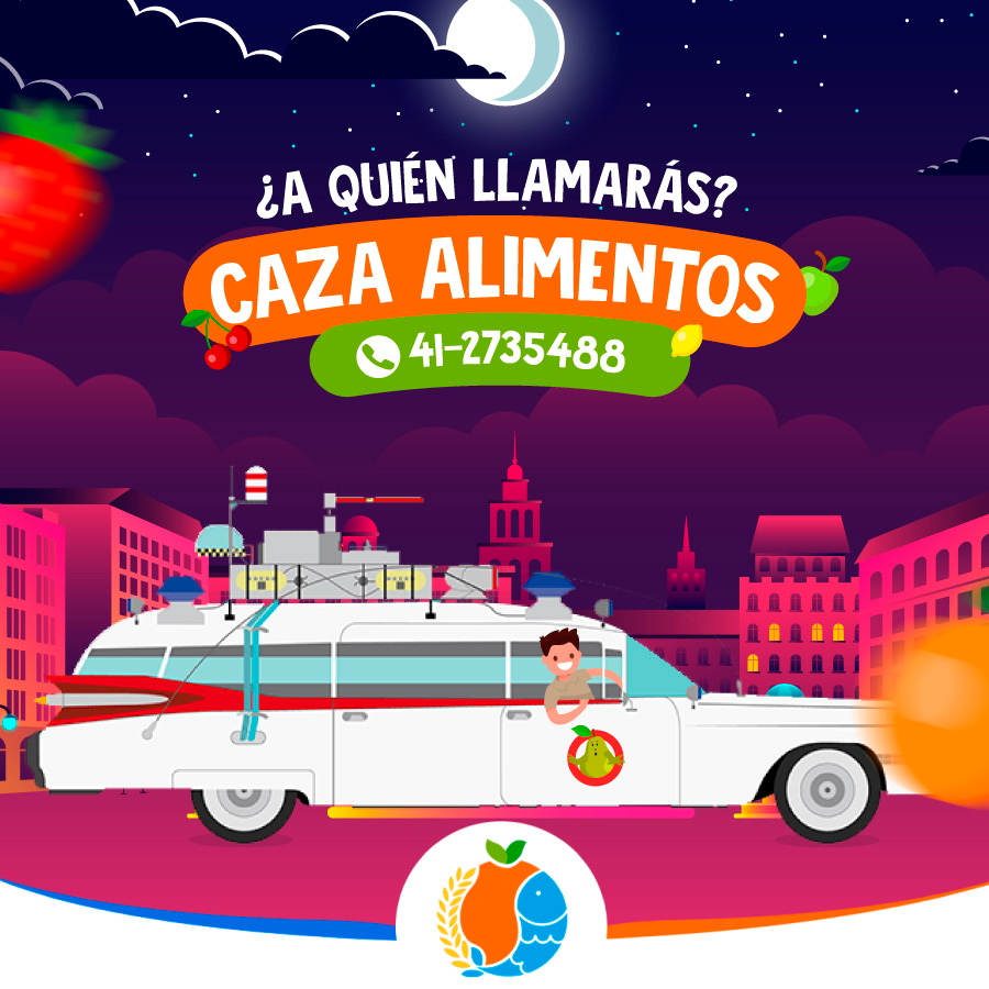BiobioSolidario tweet picture