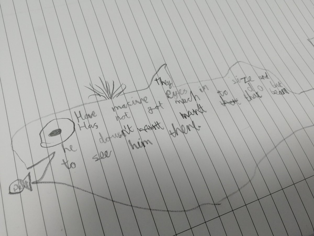 missbeddows's tweet photo. Shape poems and story writing! https://t.co/N2DmcnzpLa