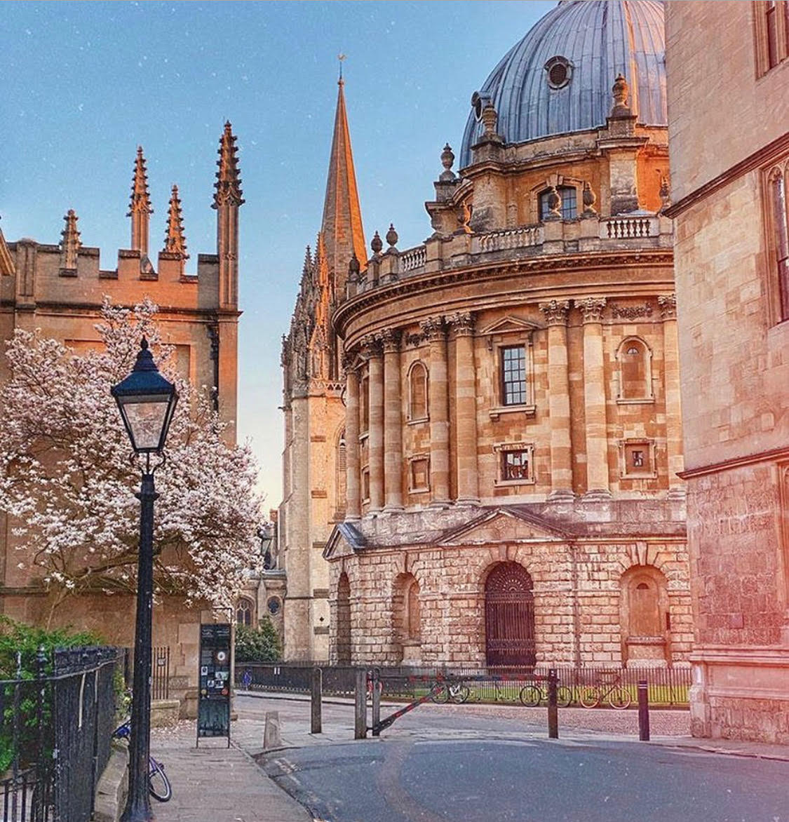 summerfuel's tweet photo. We can’t bring you to Oxford this summer but we can bring a little bit of Oxford to you. Discover favourite classes like Architecture, Shakespeare, Business and Medicine online. #travelfromhome #oxford  #experienceoxford #tolkien #shakespeare #business https://t.co/PmdRx8nGN1 https://t.co/cQjw1M0XYw