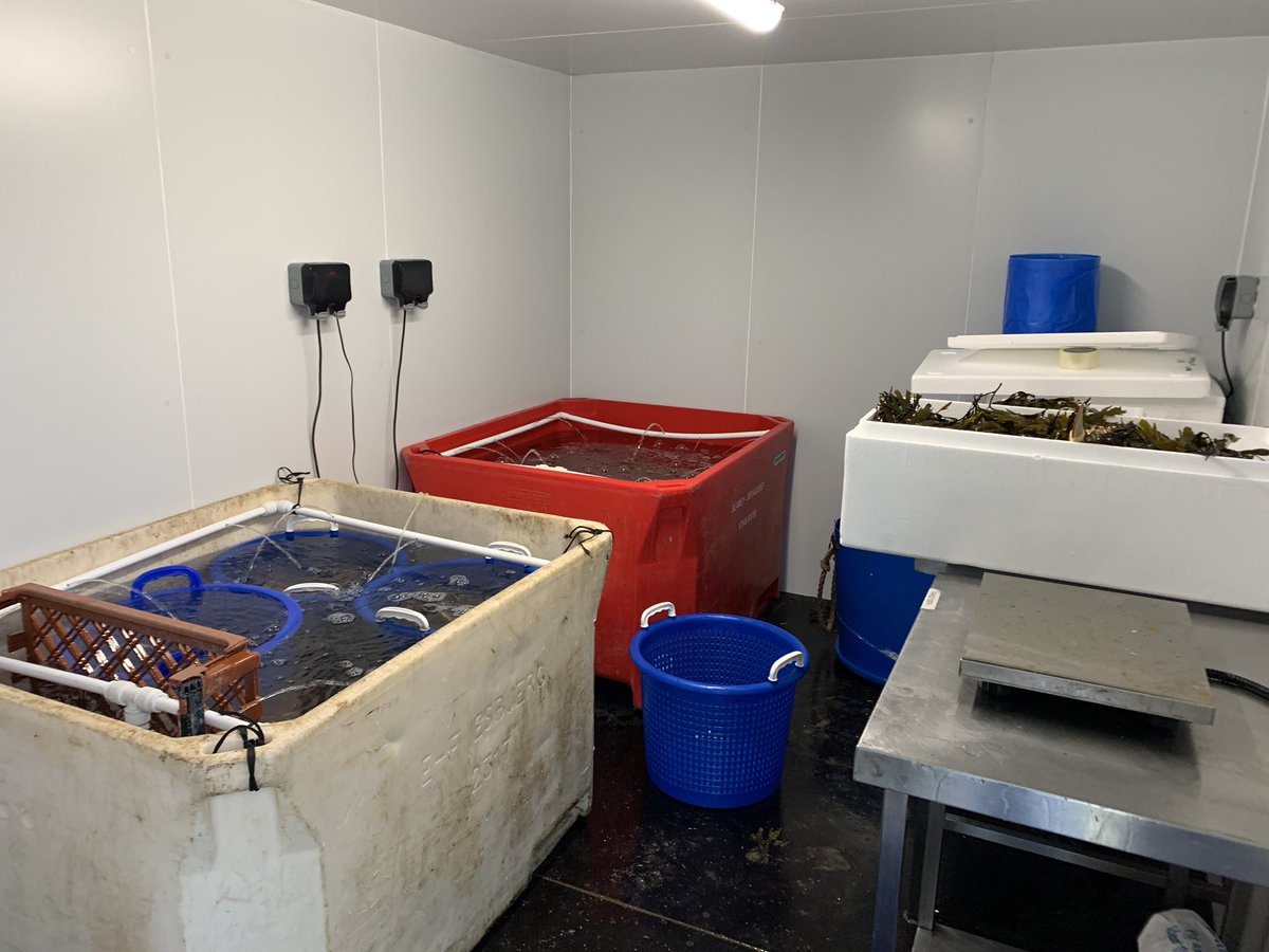 Buck Beckett tweet media