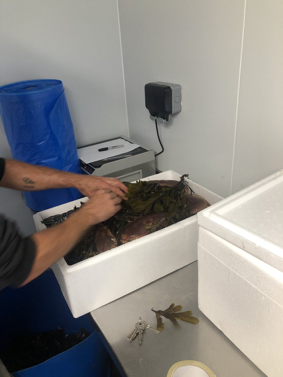 Buck Beckett tweet media