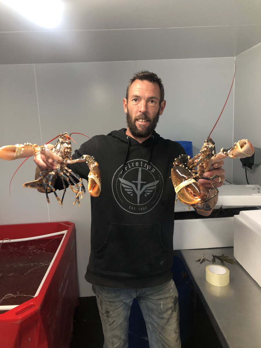 Buck Beckett tweet media