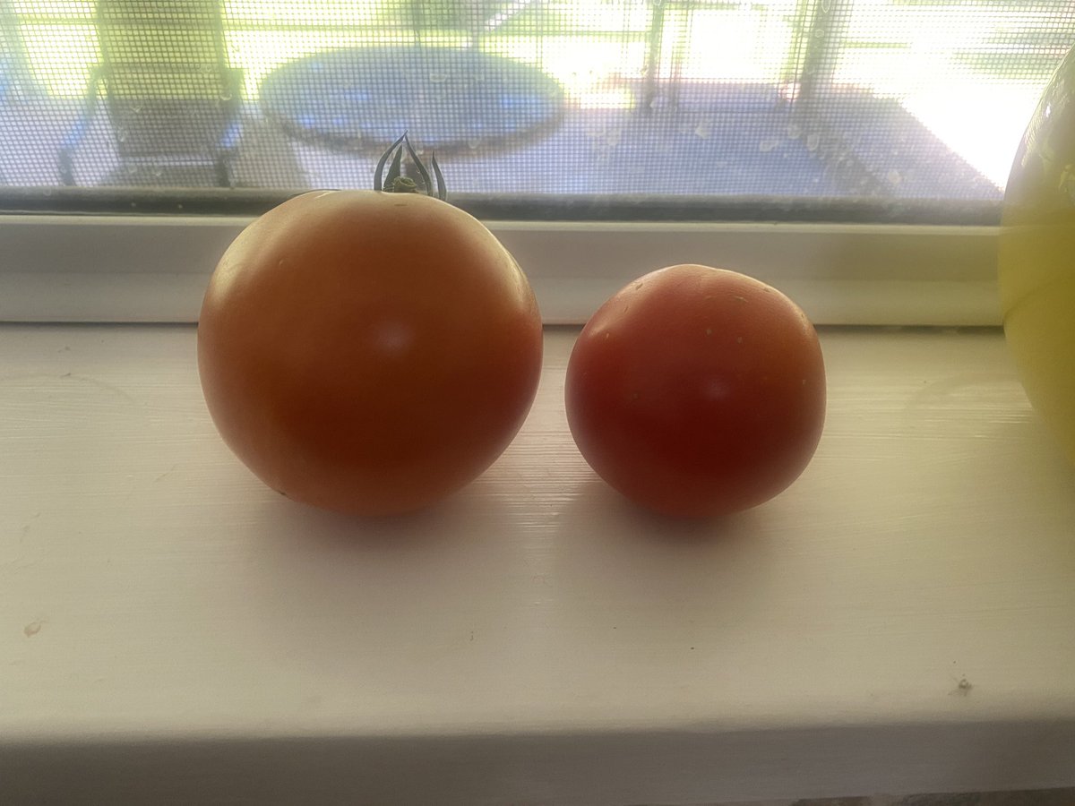 Pigfish73's tweet photo. I grew something! https://t.co/flERiQliDm