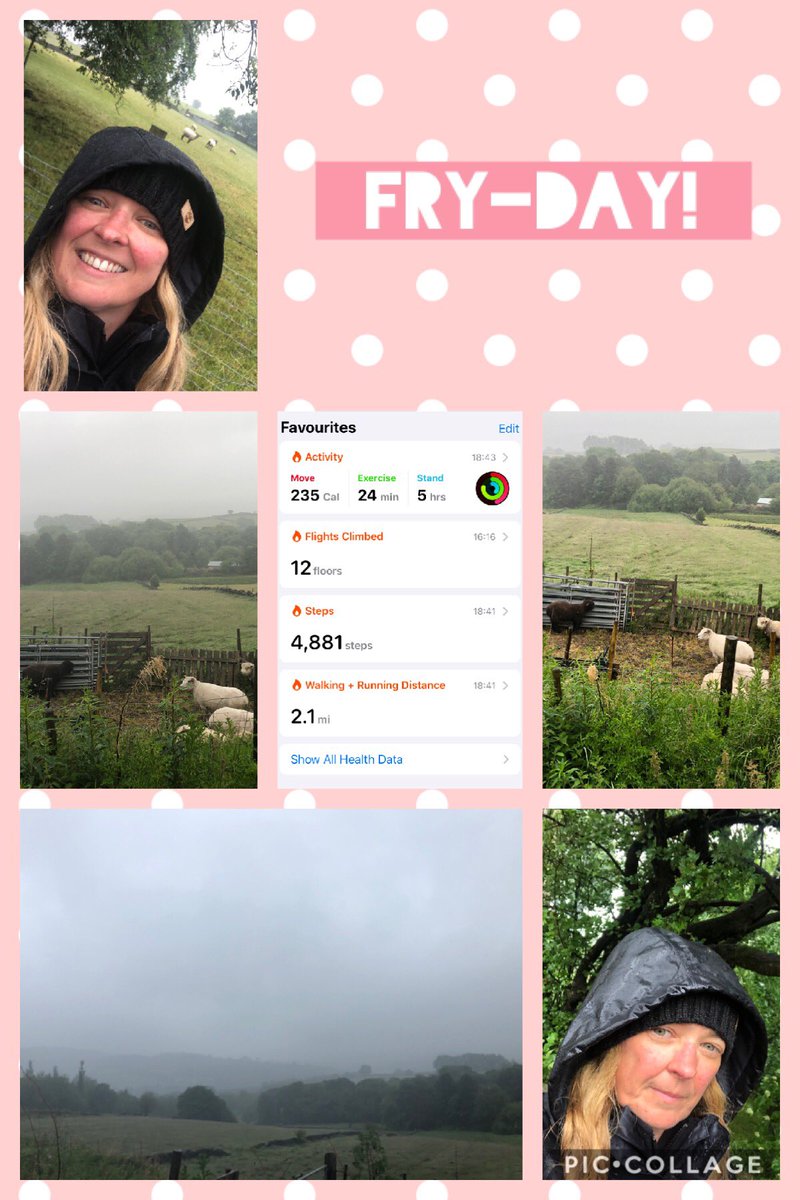WhitcliffeHead's tweet photo. Tried to venture out for a @WMount @wms_pe Gritcliffe challenge walk but it was so wet I didn’t get far!! #WMSStaff #TooWetToWalk ☔️ ☔️ https://t.co/KEa8ddL6HG