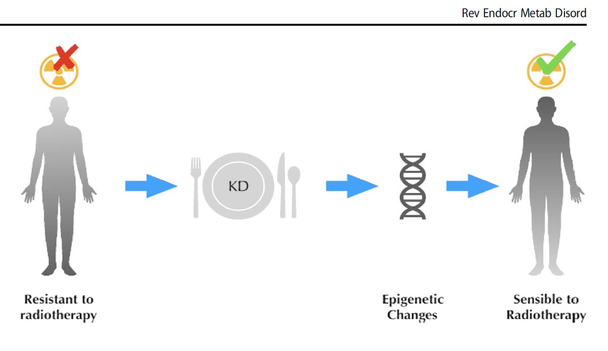 Revisión del grupo sobre el posible efecto positivo  de la #cetosis en el #cancer a traves de cambios #epigeneticos  @ibima <a href="/Borjawy/">Borja Bandera</a> <a href="/epioncobesity/">epioncobesity</a> <a href="/SociedadSeedo/">SEEDO</a> @CIBER_OBN 
#Ketotherapy as an #Epigenetic Modifier in #Cancer pubmed.ncbi.nlm.nih.gov/32514818/