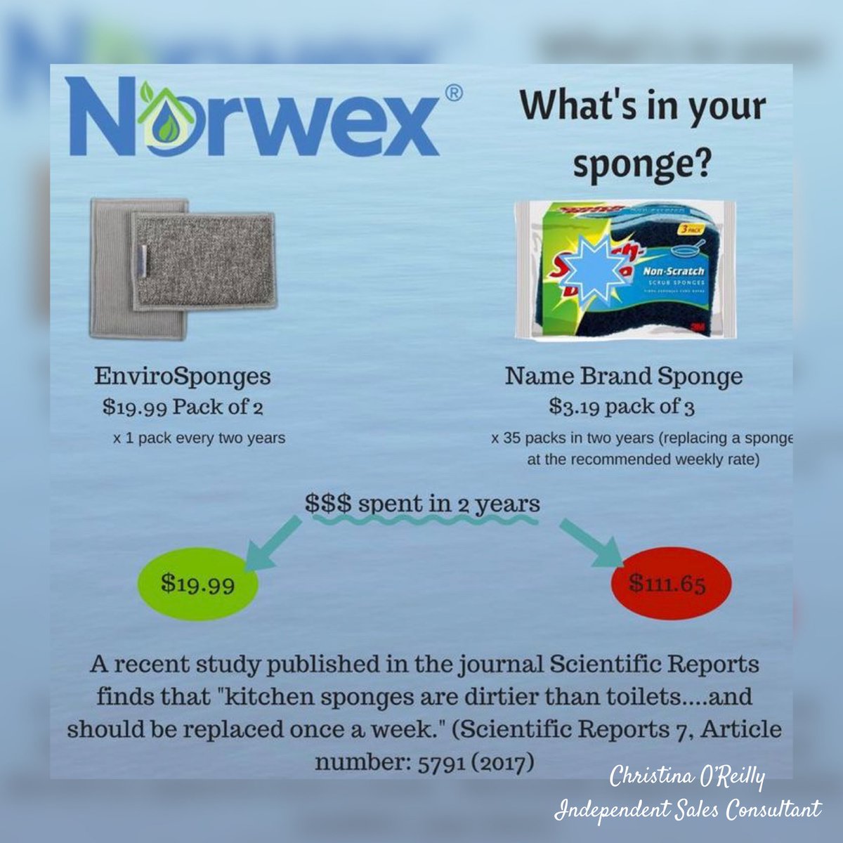 LiveCleanSimple's tweet photo. #Norwex dual-sided, multipurpose EnviroSponge beats other sponges hands down! The BacLock agent within the soft EnviroCloth microfiber side is designed to inhibit bacterial odor, mold and/or mildew growth! #sustainablesolutions #knowbetterdobetter https://t.co/zMjVxXFvoq