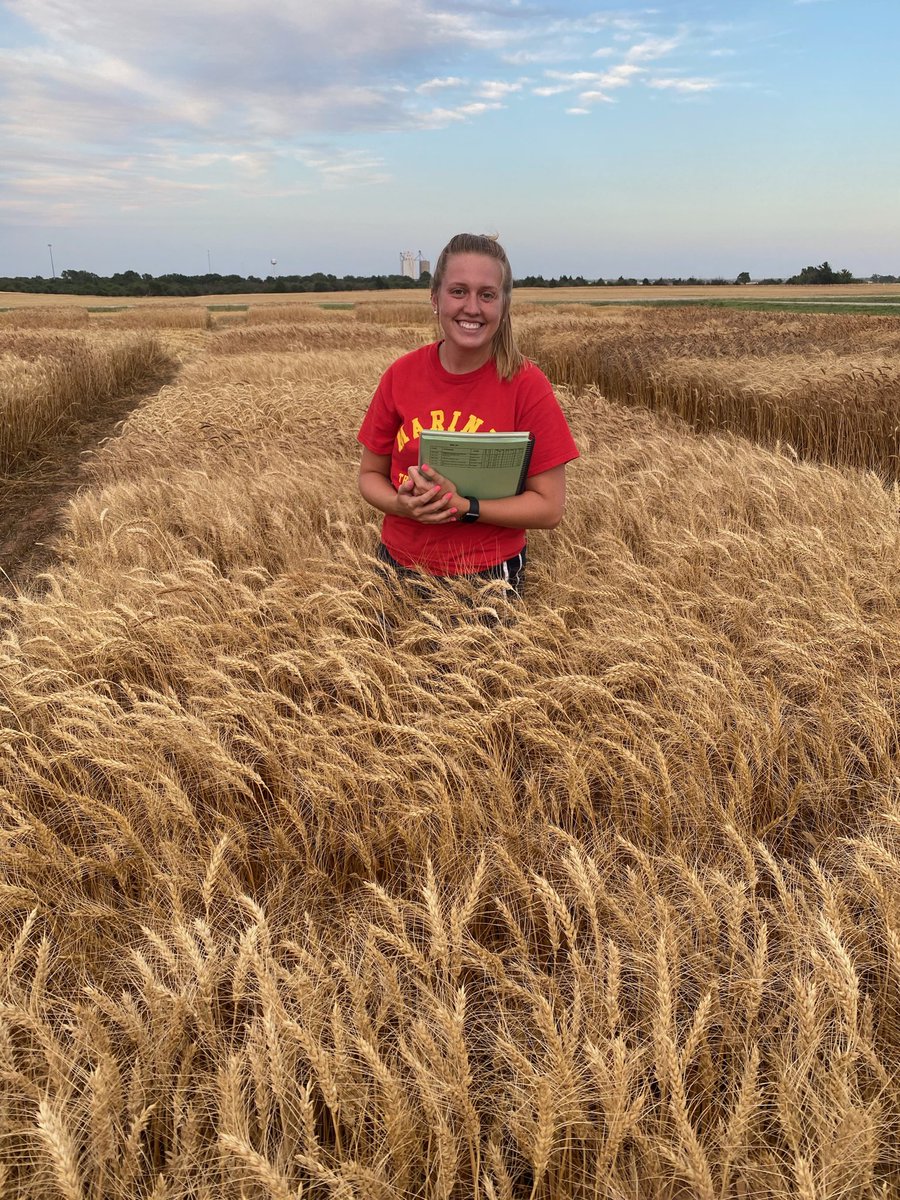 osuwit's tweet photo. We welcome @_abbymtucker to the #okstatewheat improvement program as a new grad student, having just earned her B.S. degree with #KStateAgron. Thanks go to @Wheat_MaryG for preparing Abby well for this next big step. Abby already has a good read on our program! https://t.co/dDVW16ddak