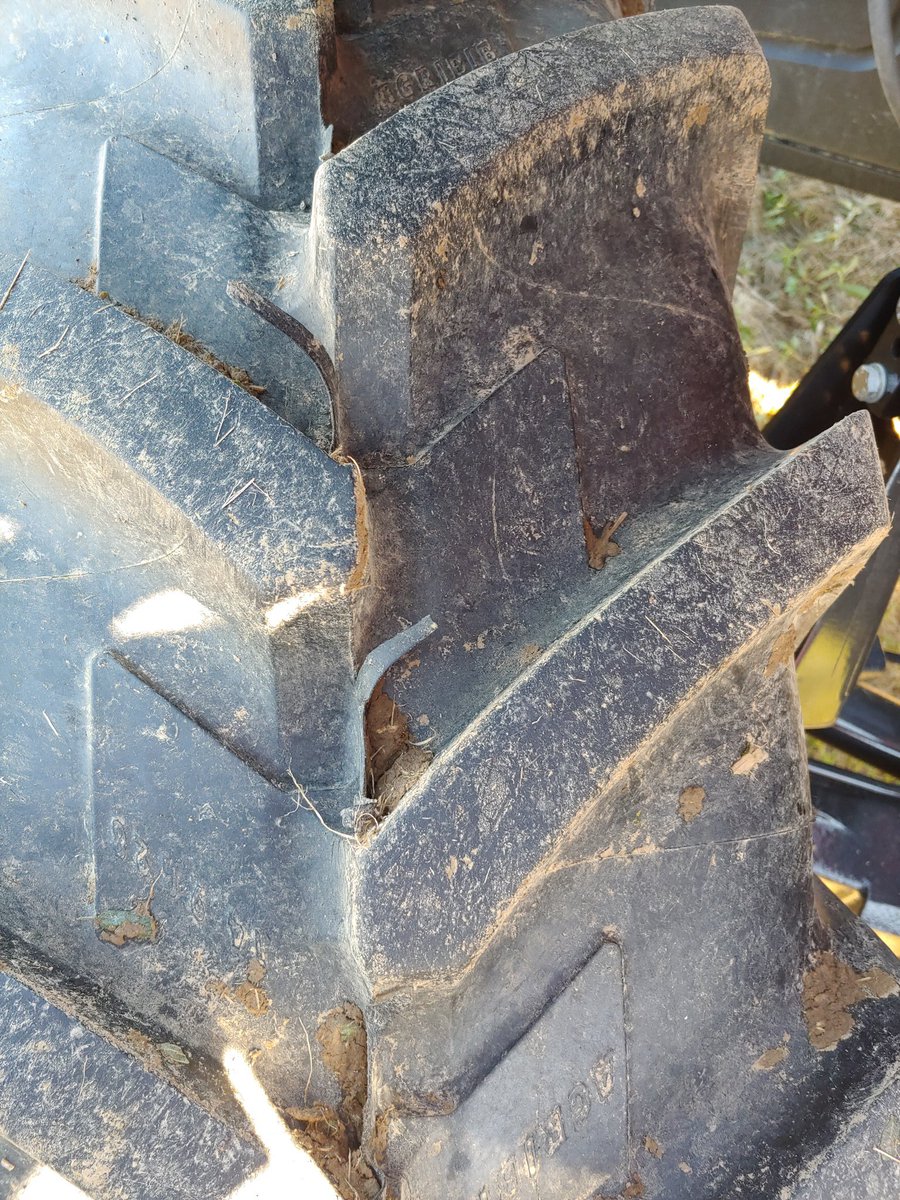 Travis Legleiter tweet media