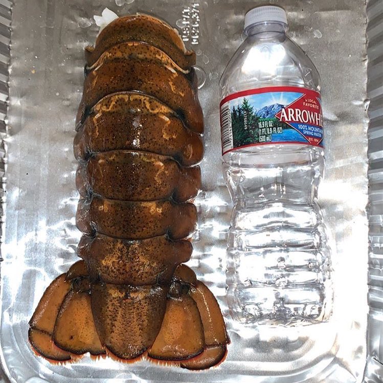 jessethechef's tweet photo. Size comparison 
448 grams each 
Buss down garlic butter lobster tails https://t.co/uCeAyM2pE1