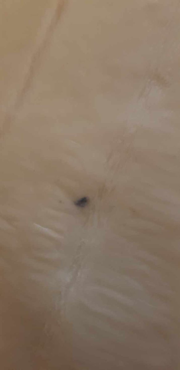 sab83200's tweet photo. @Herta_France service client indisponible, je pense qu’on a un problème là! C’est pas la première fois et franchement marre de jeter de la nourriture!!! On fait quoi herta??? https://t.co/DhvDOBw40y