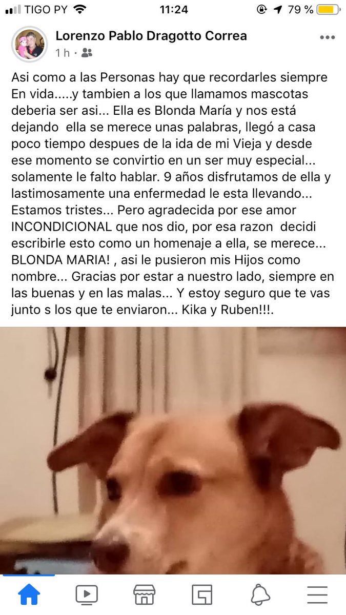 EnzoDv96's tweet photo. Nuestra perra nos está por dejar y este mensaje le dedicó mi papá. No llore 👍🏼 https://t.co/LEoZSbY1hK