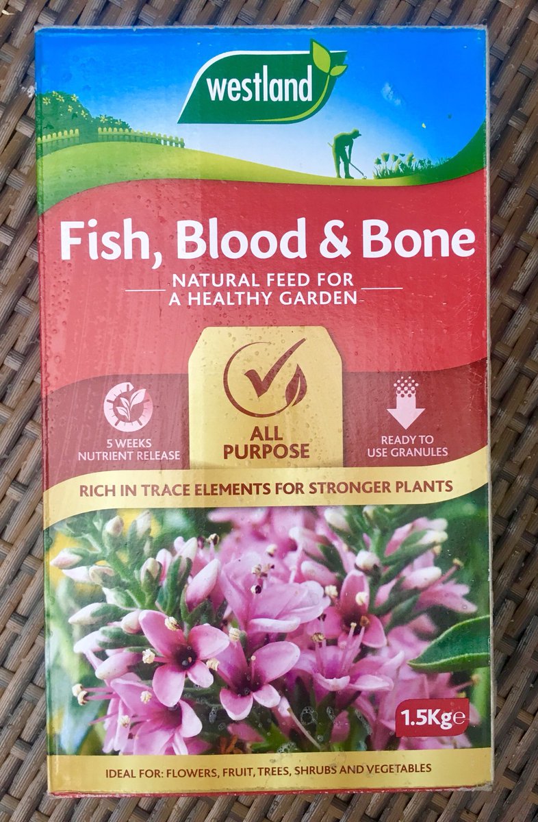Excitement on a Friday night during a pandemic lockdown: this much-needed package being delivered. Hello Zoe of three months ago, this is your new life now.