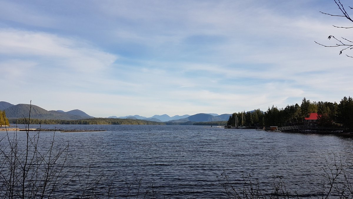 Shearwater tweet media