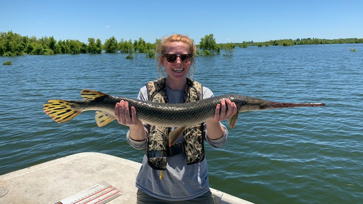 KristieREllis's tweet image. It's good to be back in the field! #GarLab