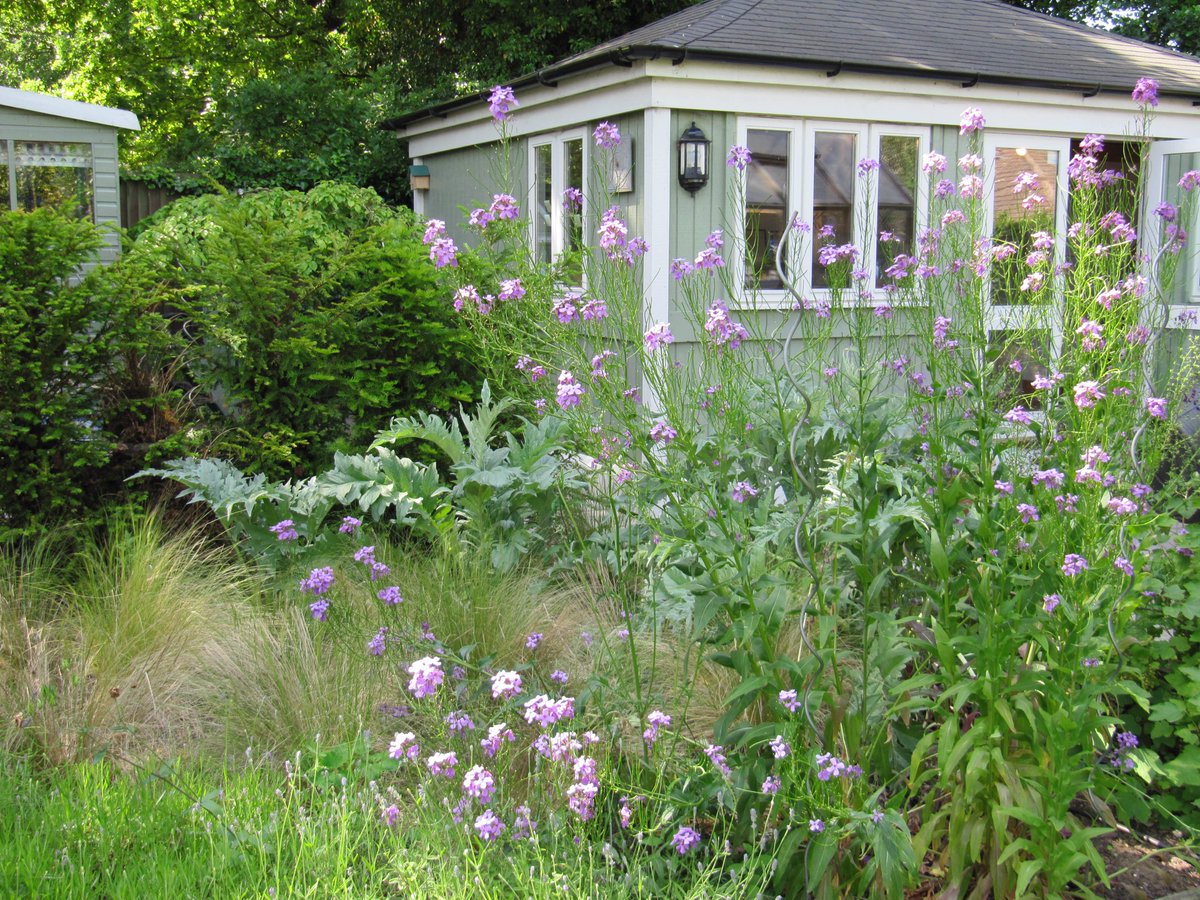 "It has been a wonderful stay in both your properties and should I need a room in the area again in the future I will not hesitate to contact you." Peter
Isn't it great to be able to help someone and get nice feedback?
#countyrooms