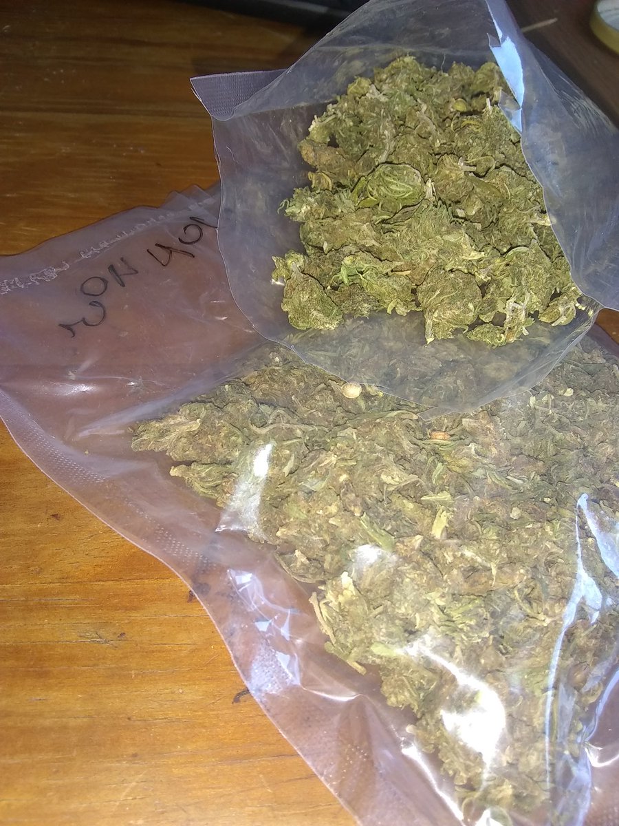 LipeAndradee22's tweet photo. me dei um presente ao meu gosto, maconha 💚 Feliz dia dos Namorados, tenha amor próprio ✨  F1 🔥 https://t.co/naQ43imgKv