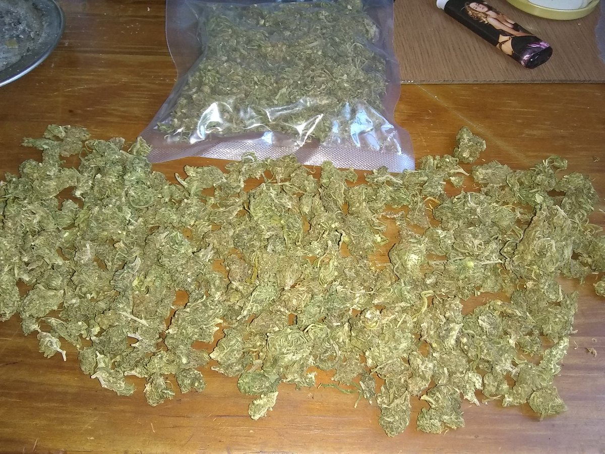 LipeAndradee22's tweet photo. me dei um presente ao meu gosto, maconha 💚 Feliz dia dos Namorados, tenha amor próprio ✨  F1 🔥 https://t.co/naQ43imgKv