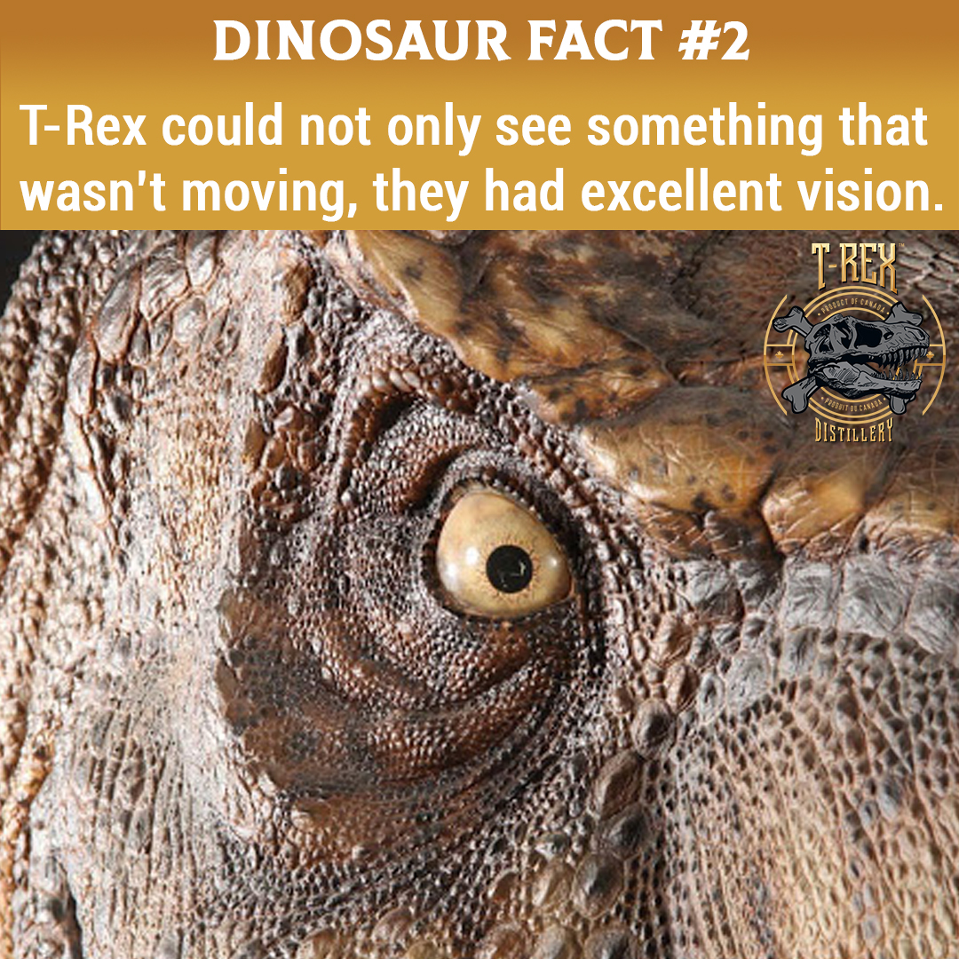 Time for another neat dinosaur fact! 🦖 A T-Rex' vision was crystal clear, like our vodka 😎