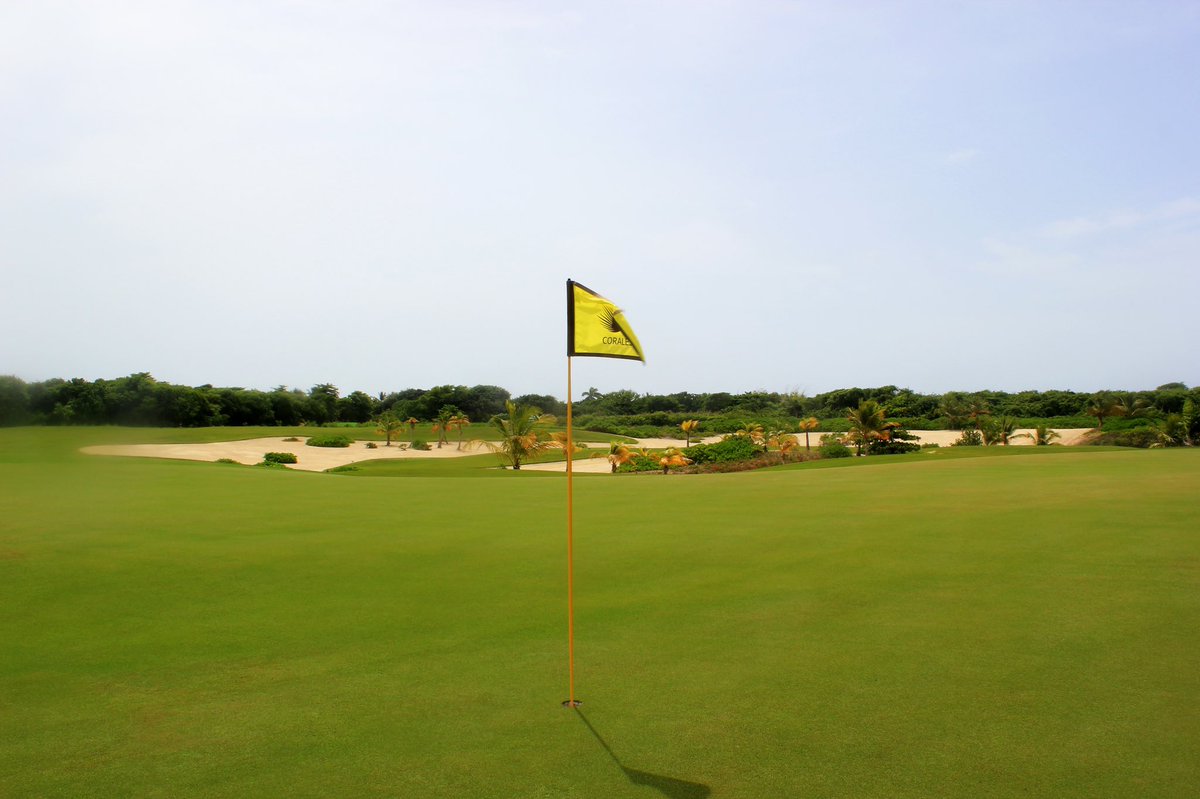 Travel log day 73: @PUNTACANARESORT - see link at bottom for review and video - @GoDomRep @bestofpuntacana #puntacanaresort #dominicanrepublic #puntacana #golfinpuntacana #golf #travel #golfcourses #pgrmagazine #planetgolfreviewmagazine #planetgolfreview planetgolfreview.com/Golf-Holidays/…