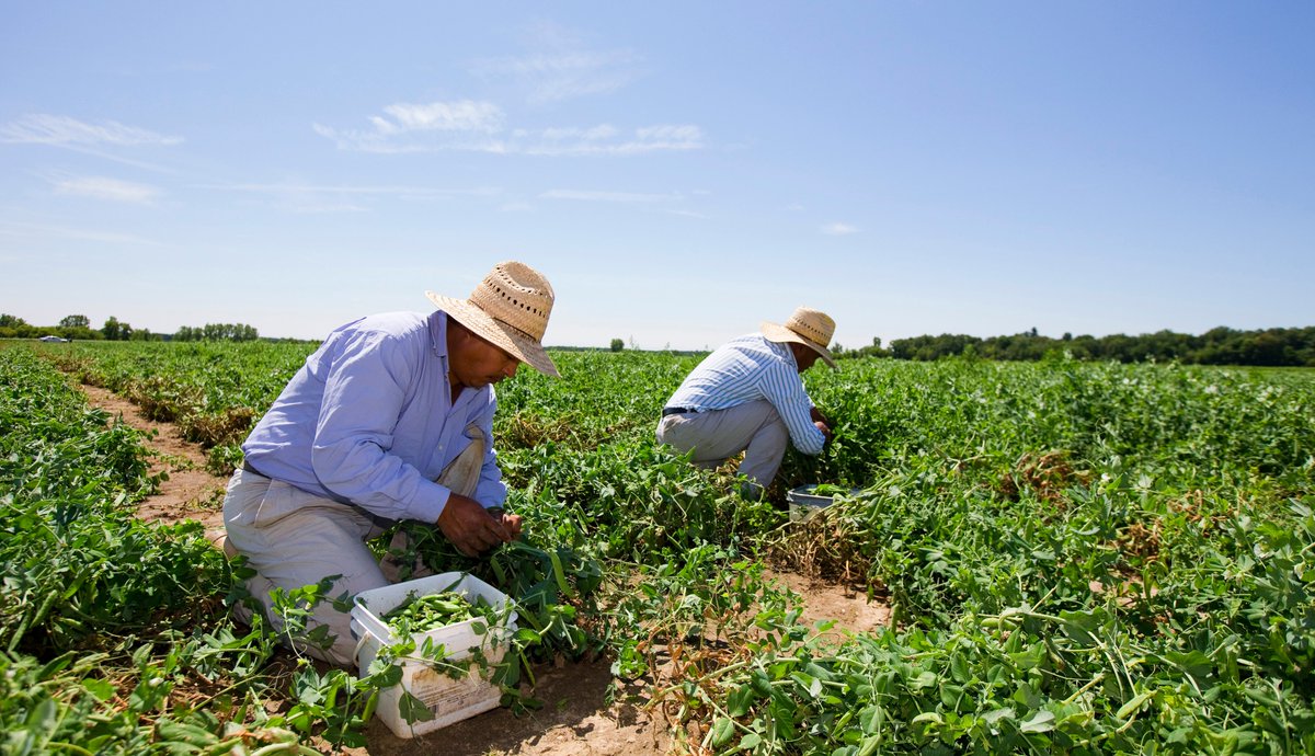 Norfolk farmer Brett Schuyler has won his appeal of the 3-worker cap on bunkhouses during COVID-19 isolation period of 14 days.