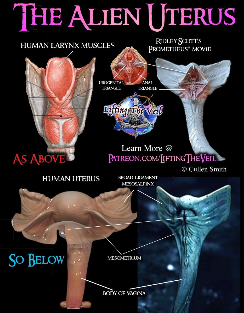 ⱡi In ђs V Il No Twitter I Dont Know Who The Artist Of This Image Is But These Connections Came From My As Above So Below The Belt Discoveries From My Full Symbols