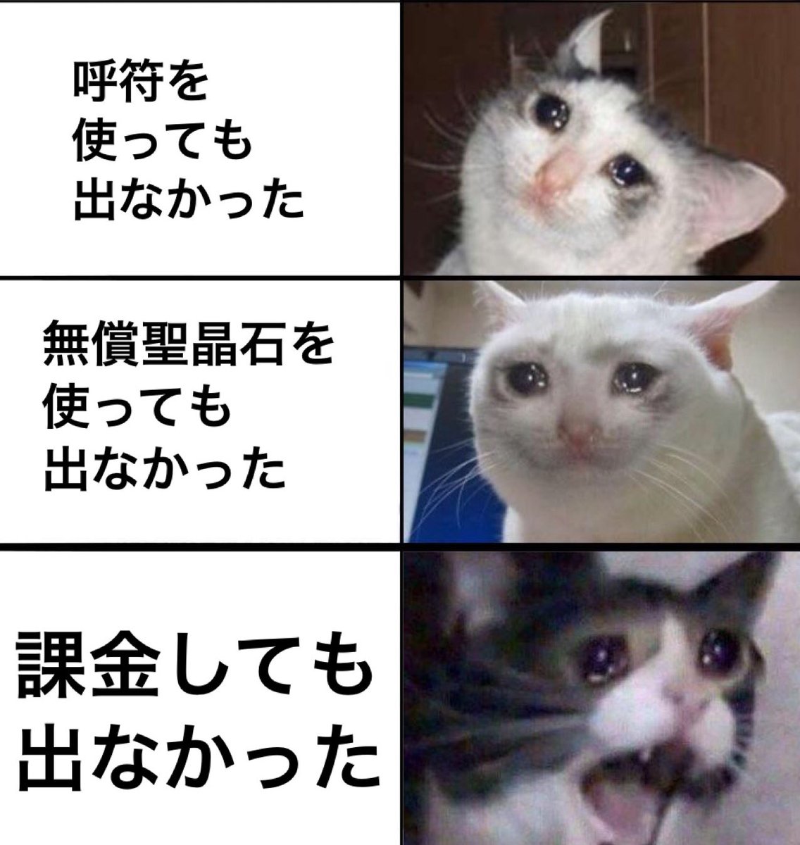 ネコ画像で表現するピックアップ鯖が引けなかった時のマスターwww ネコ画像で表現するピックアップ鯖が引けなかった時のマスターwww