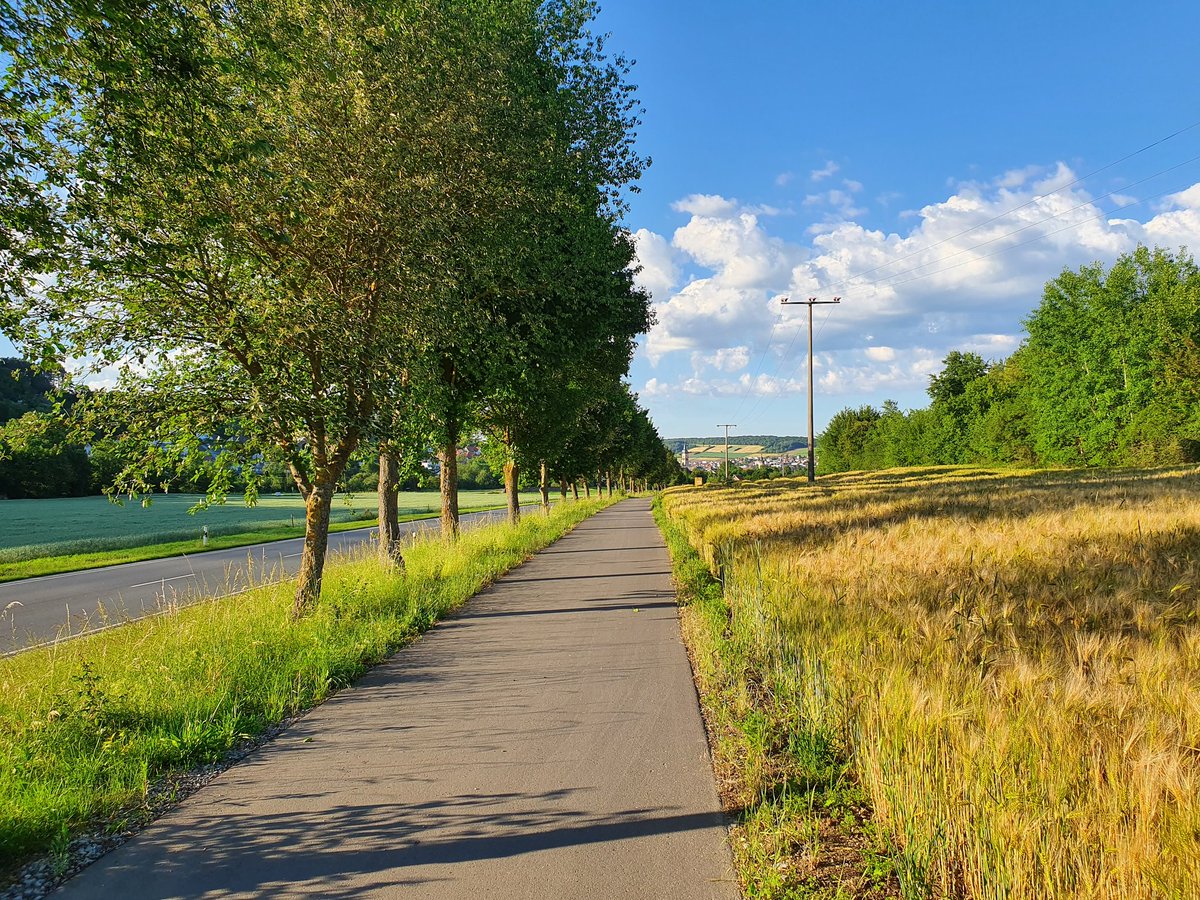 Max Betten 🇪🇺🇺🇦🏳️🌈 tweet media