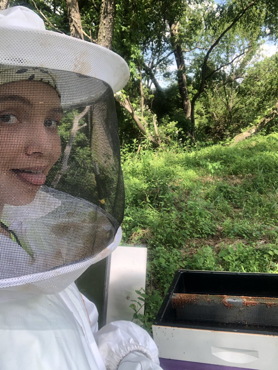 Patch_The_Medic's tweet image. Time to yeet some ants #buzzbuzz #PercysLab