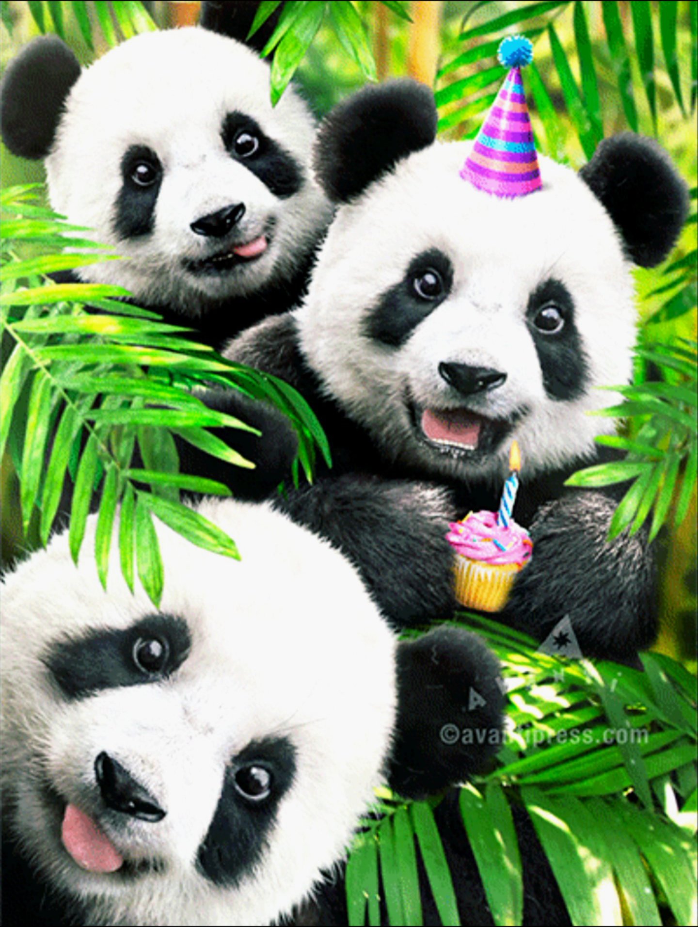 Bored Panda Memes - nxxzhpn