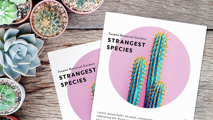 Learn how to make a flyer that grabs attention with colorful imagery, graphics, and attractive typography: adobe.ly/3cYrKym