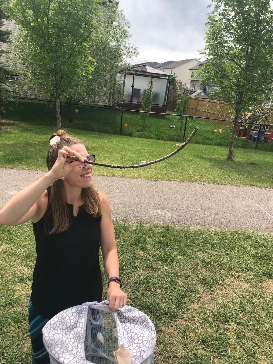 3Rideau's tweet photo. And they're free ... 

@RIDparkschool https://t.co/AdqpdVyVFZ