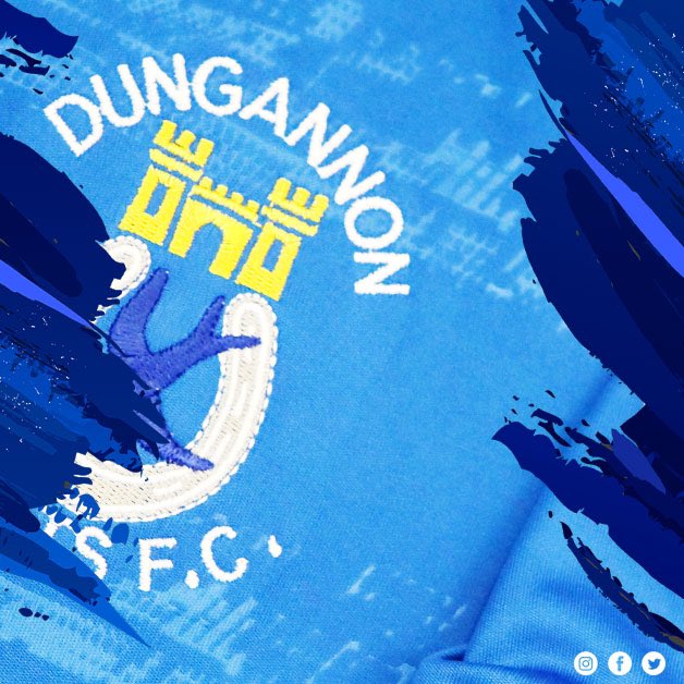 Dungannon Swifts FC tweet media