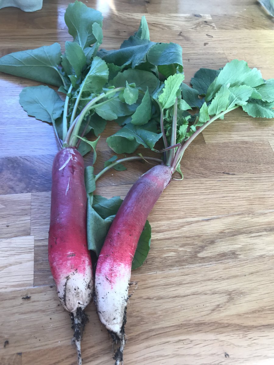 Jo Aungier tweet media