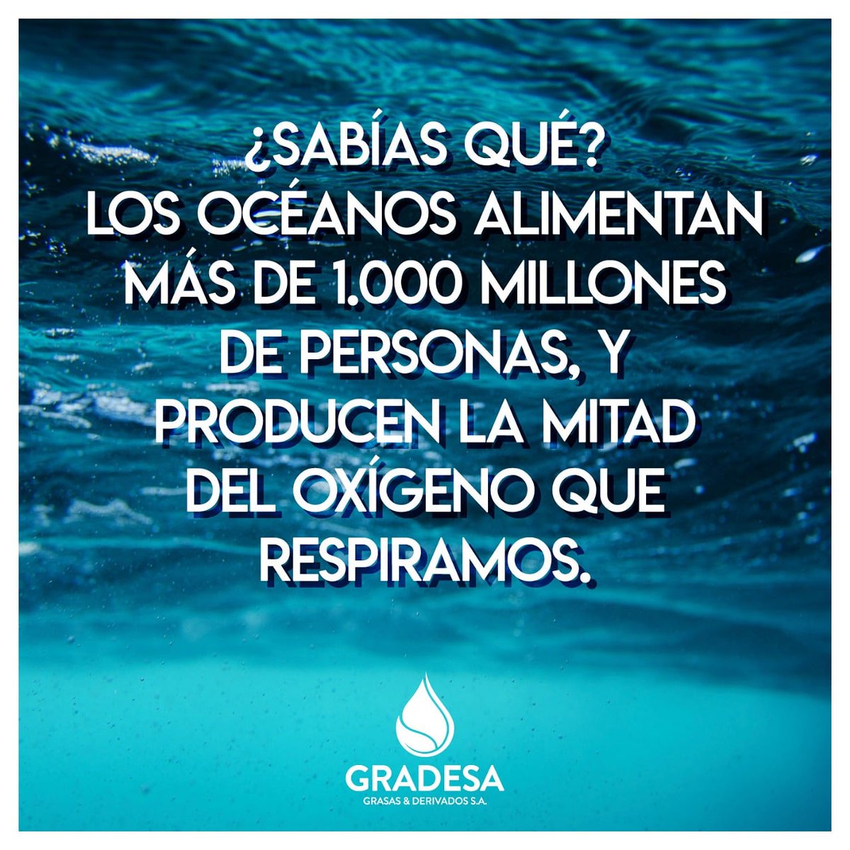 GradesaA's tweet photo. Es hora de tener conciencia, no más plásticos ni desechos en el mar. El agua es nuestra fuente de vida ¡es hora de cuidarla! 🌊
.
.
#SomosGradesa #EvolucionamosNaturalmente #GradesaSA https://t.co/iZsrHtD6Xm