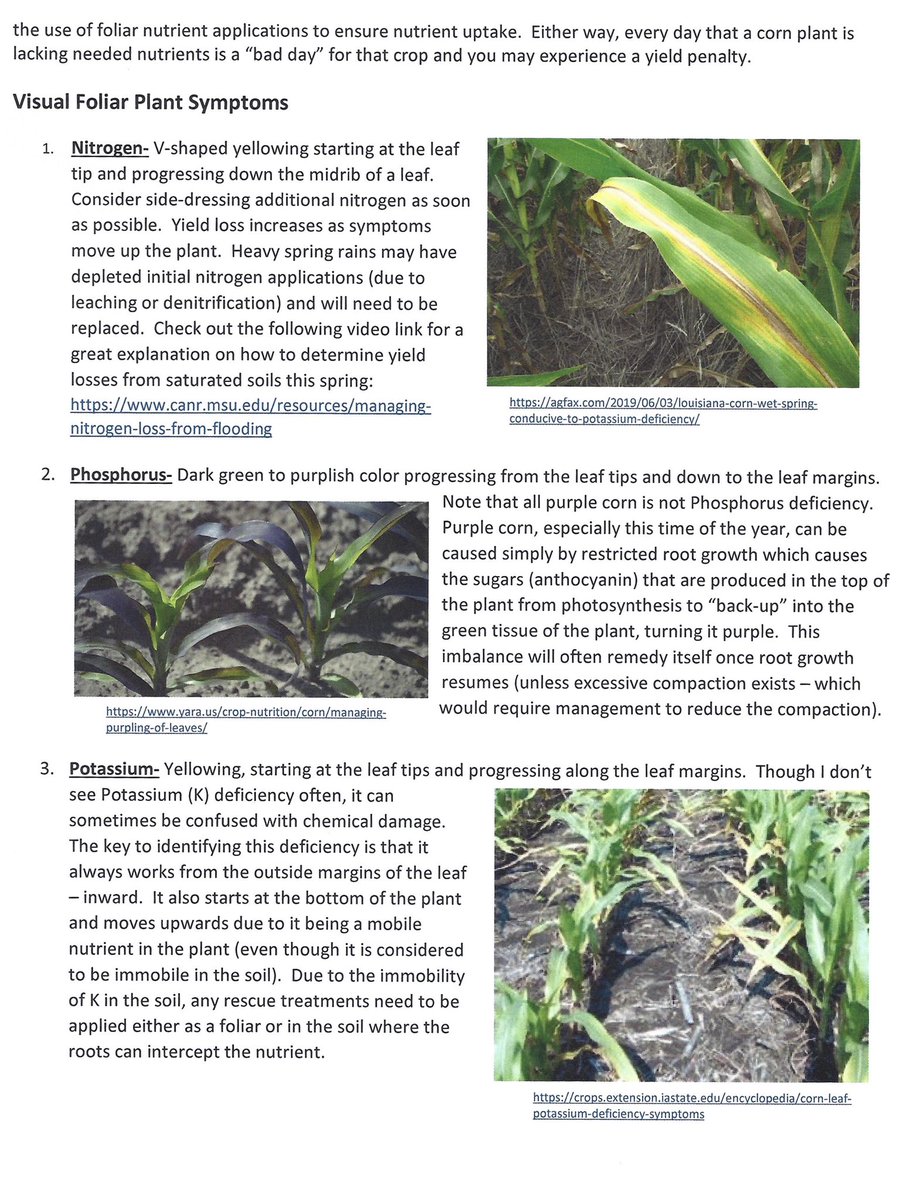 Charles Scovill tweet media