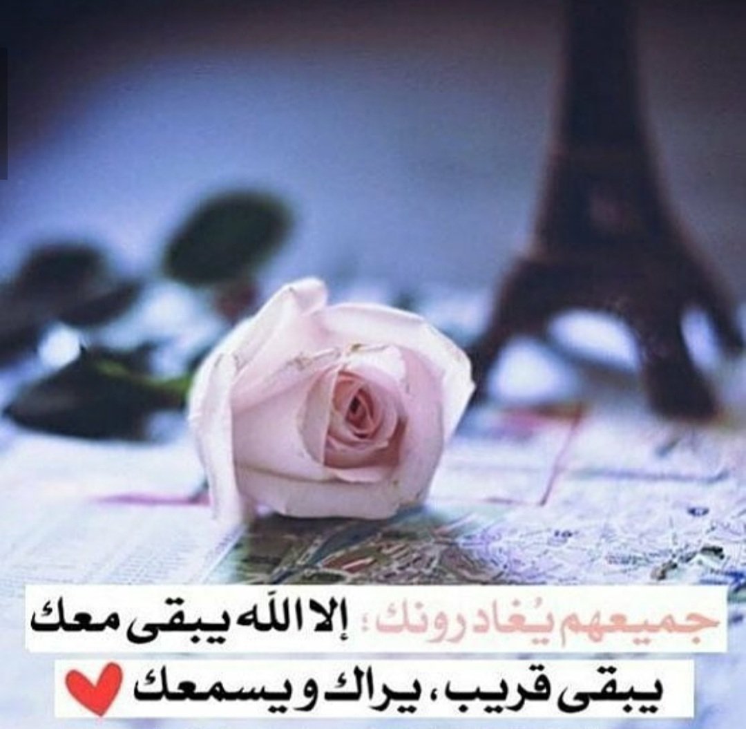 vw__gg's tweet photo. #استغفرالله #ذكر_فإن_الذكرى_تنفع_المؤمنين #صلوا_على_الحبيب_محمد #سبحان_الله_وبحمده https://t.co/bkhPkm3zXl