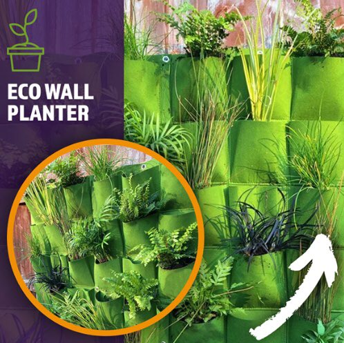 PlantGrowUK's tweet photo. Here’s our eco wall, available now at https://t.co/Ne0IxqqAHB #gardenersworld #growyourown #verticalwall #ecowall #plantgrow https://t.co/2AD8ZBSZhA