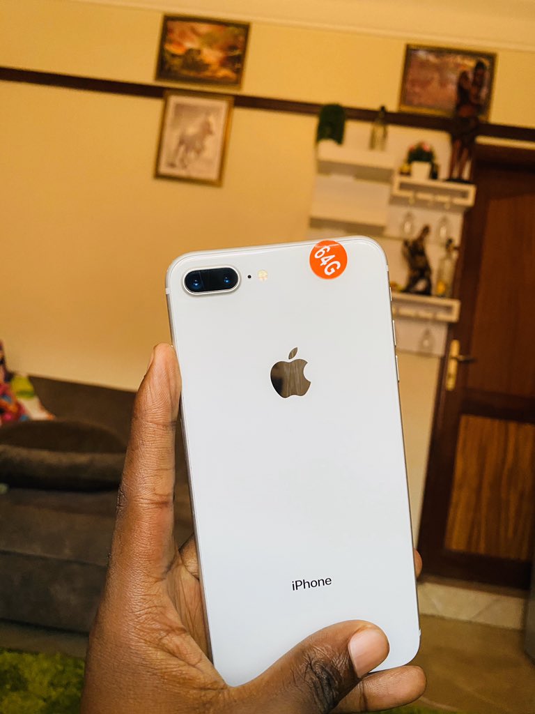 appleanimal™️ tweet media