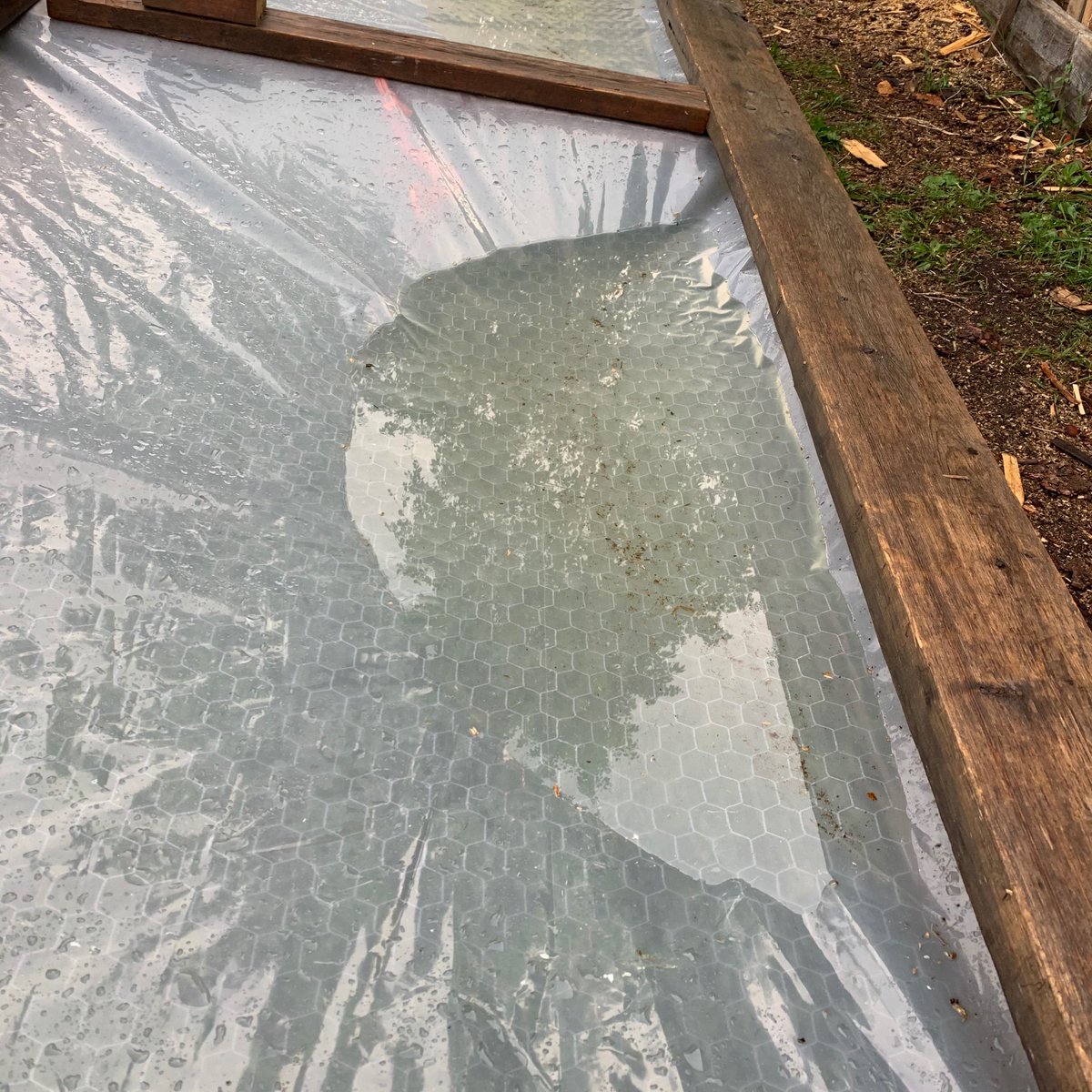ChickadeeFarmHe's tweet photo. Rain rain go away the chickadees have plant to plant.   We have lovely basil &amp; marjoram seedlings yo go out, but the constant rain is preventing us from doing tractor work in the garden. Hopefully they can hang on. https://t.co/PMa7Nuuvlm