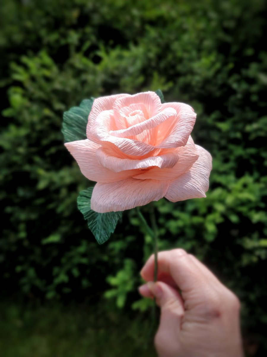 ArloArts's tweet photo. Will be popping into the shop this weekend to prepare for a safe and responsible re-opening.
These crepe paper roses will make their way over as well as many other lockdown creations.
#paperflorist #HandmadeInUK #madefrompaper #paperroses https://t.co/8IOkoMEI4W